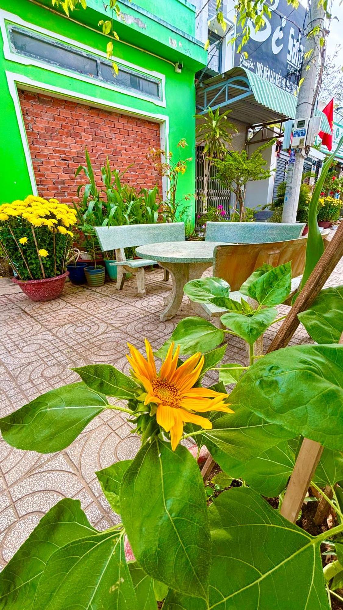 Thuy Hang Motel Long Hai Zewnętrze zdjęcie